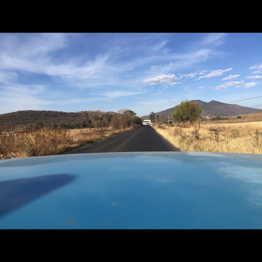 Meet your Posher, Gonzo